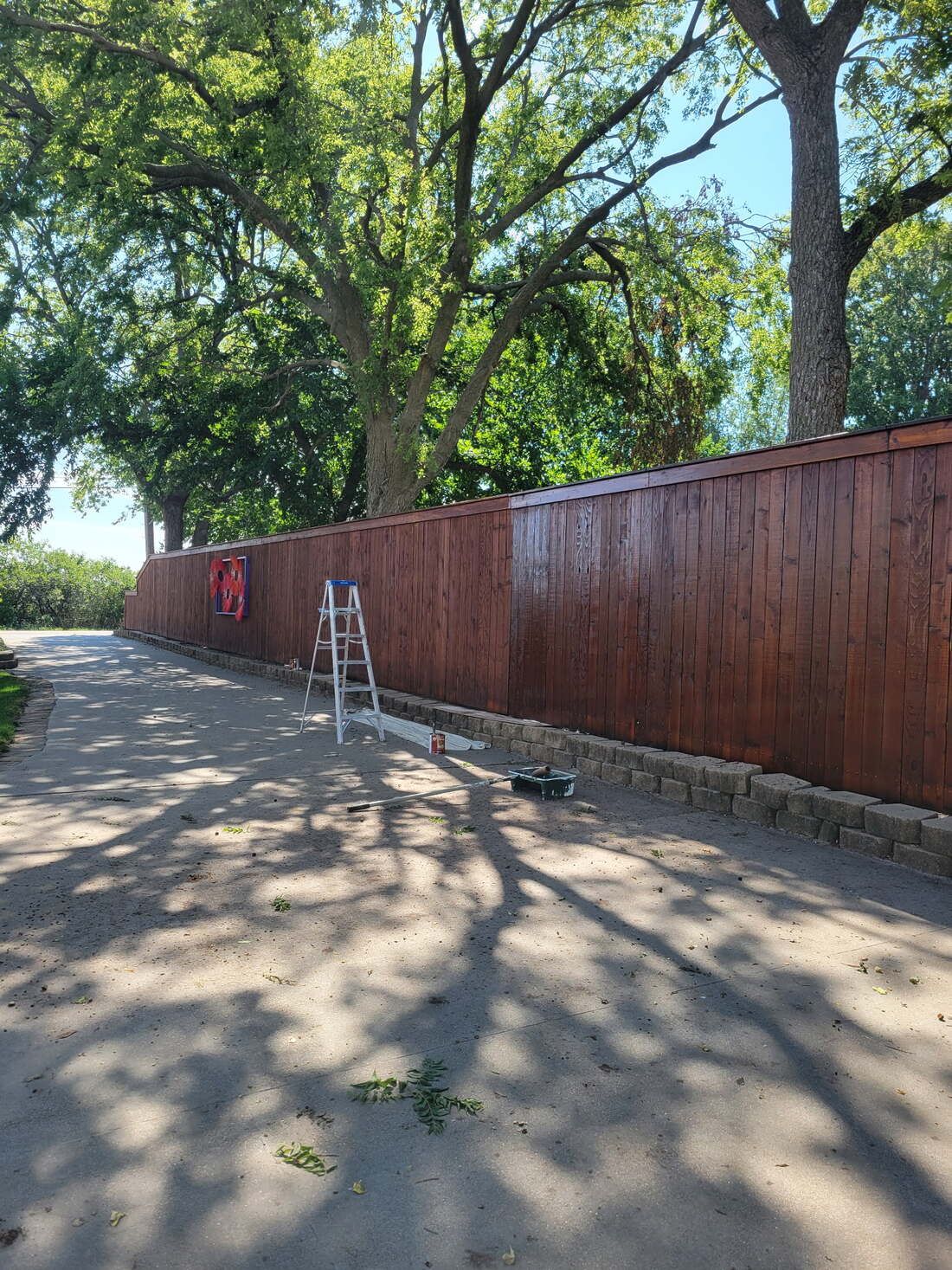Long wooden privacy fence, half weathered gray and half freshly stained a rich reddish-brown, with a ladder and stain tray set up mid-project